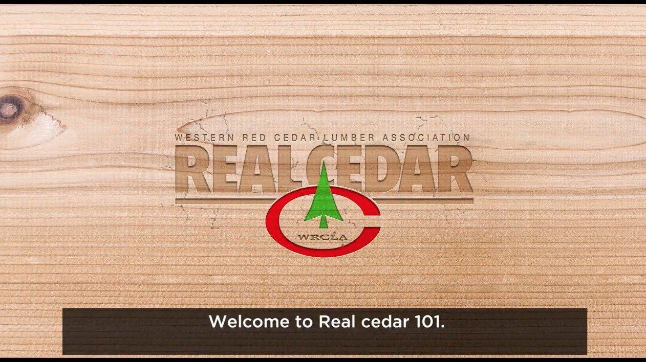 Real Cedar 101 English Thumbnail
