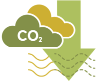 Building with Real Cedar actually helps reduce greenhouse gasses