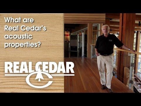 YouTube video thumbnail for video