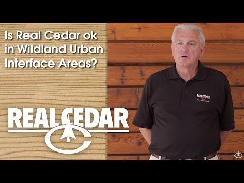 YouTube video thumbnail for video