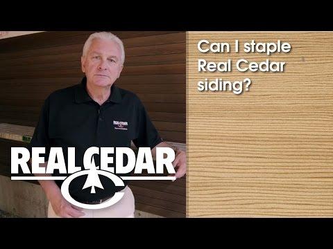 YouTube video thumbnail for video