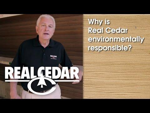 YouTube video thumbnail for video