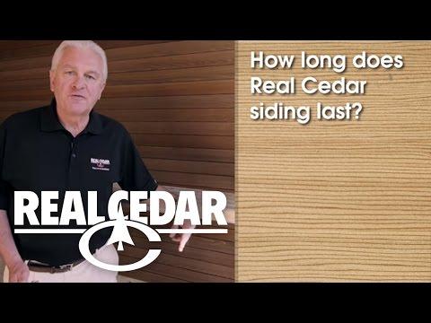 YouTube video thumbnail for video